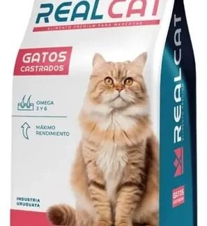 Real Cat